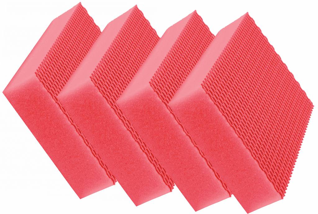 Eponge HACCP COLOR CLEAN sachet de 4