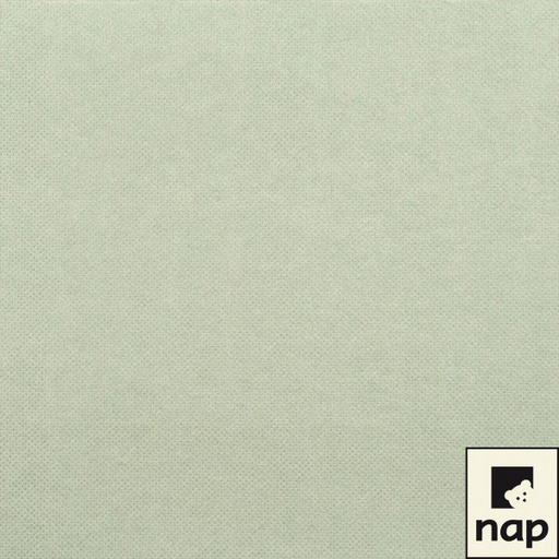 AP - Serviette Celi-ouate 40x40 couleurs pastels / CT 900 (Vanille)