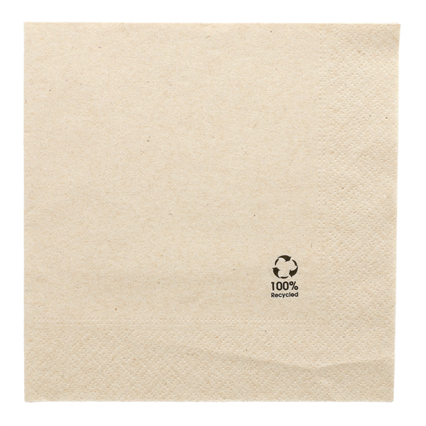 SERVIETTES ECOLABEL 2p 20x20CM NATUREL (carton de 4800 serviettes)