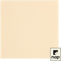 [C_742022] AP - Serviette non-tissé R'SOFT 40x40 Ivoire / Paquet de 50